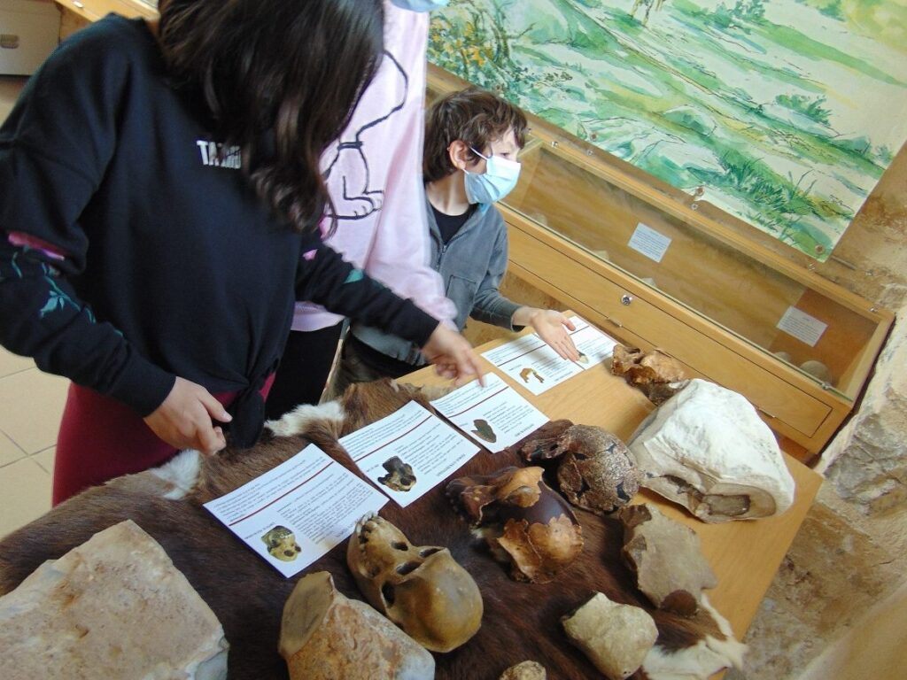 Comprendre l&rsquo;évolution de la démence vasculaire : symptômes, traitements et prise en charge