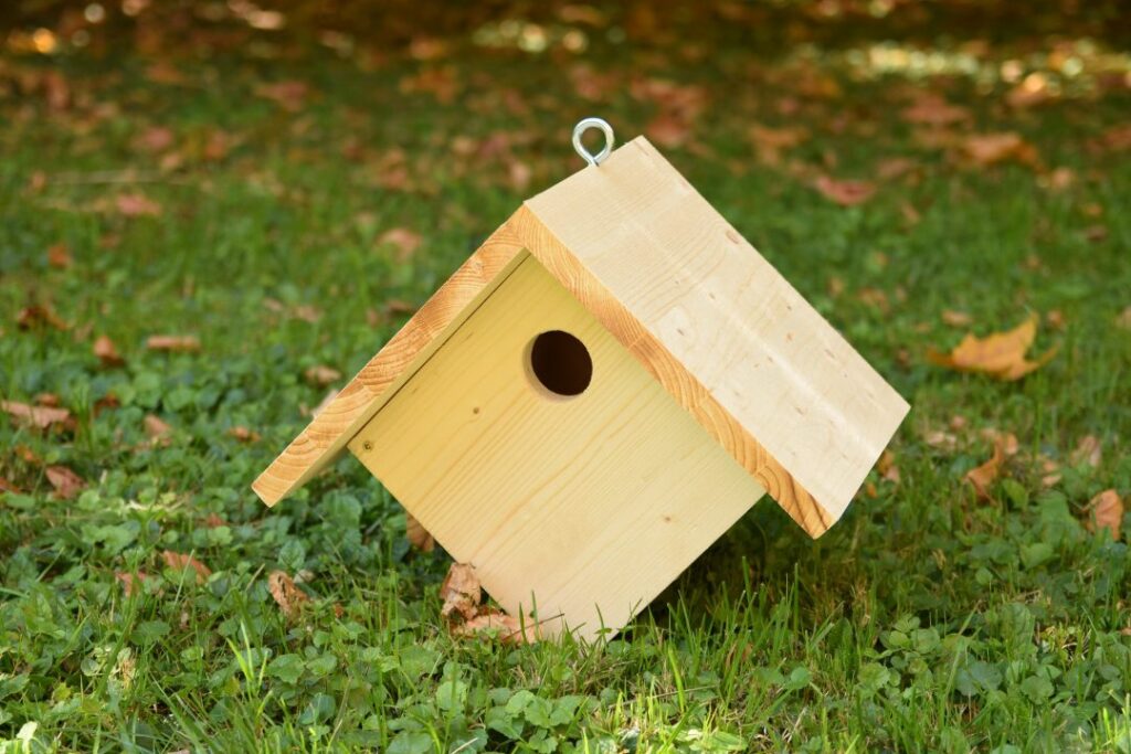 Construire un nid sûr: Comment identifier et gérer les nids de guêpes maçonnes