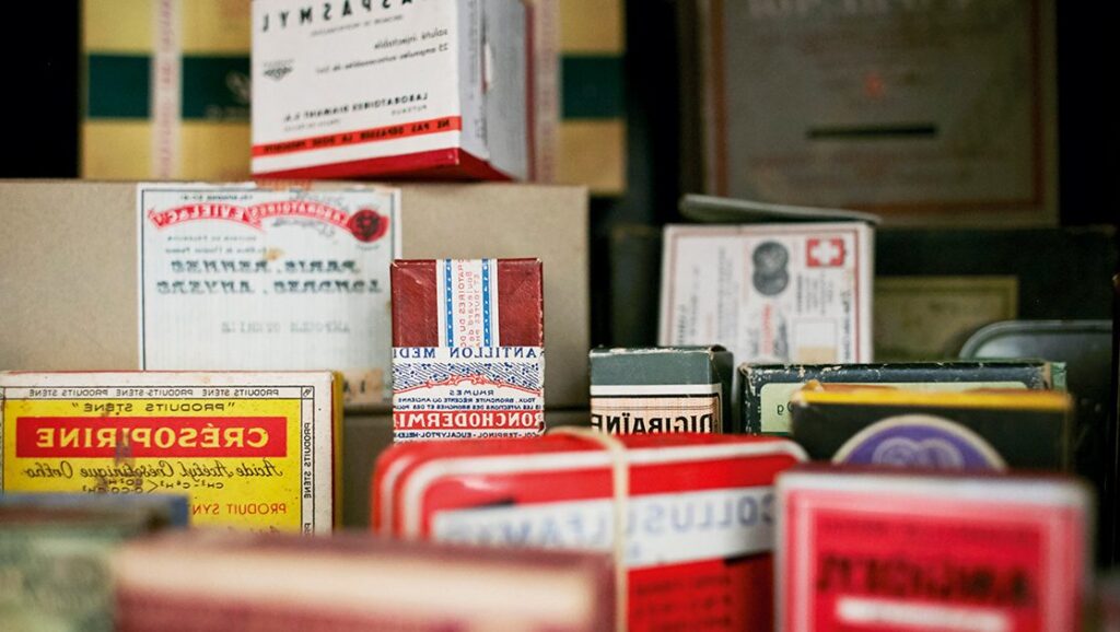 La Caille : Trésor Nutritionnel et Délices Culinaires Méconnus