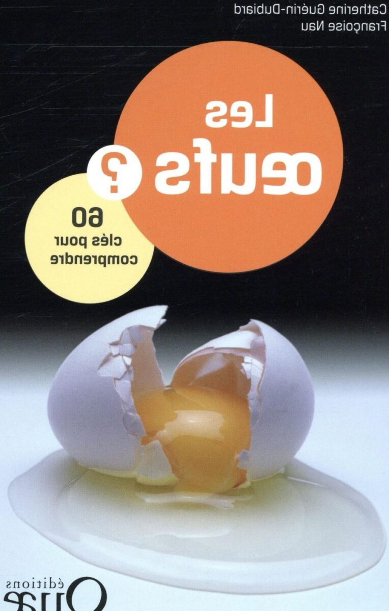 Les clés pour comprendre le fonctionnement de l&rsquo;urgence pédiatrique à Meaux : ce que tout parent doit savoir