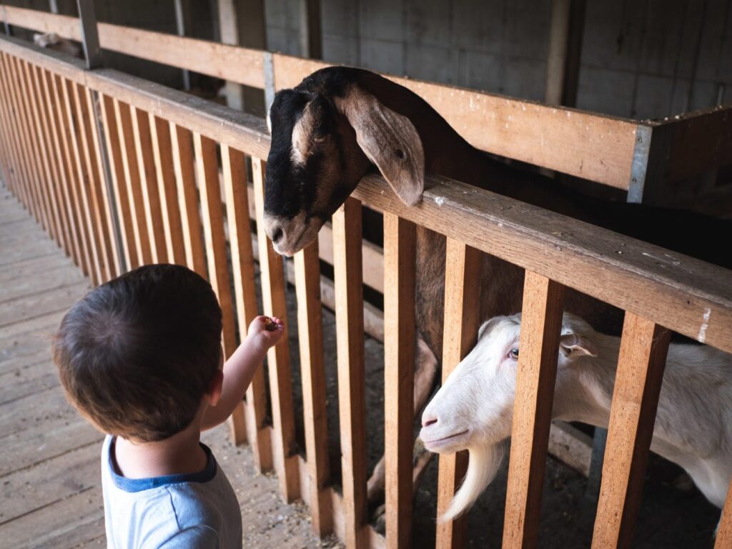 Entre tradition et innovation : Découverte de la médecine à la française au 35 rue Claude Bernard