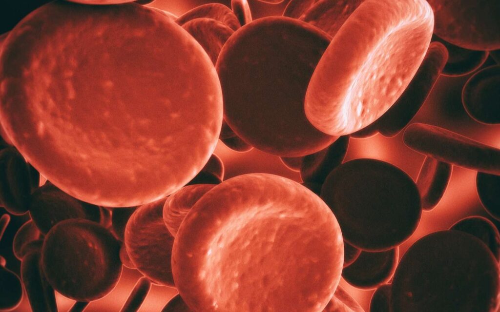 Hémoglobinose S : Comprendre cette Maladie du Sang et ses Impacts sur la Santé