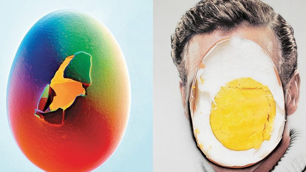 Les Blancs d&rsquo;Œuf: Un Concentré de Protéine pour les Sportifs