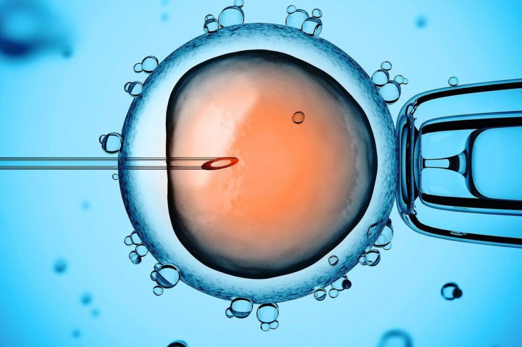 Procréation Médicalement Assistée (PMA) : Découverte du Centre Avancé de Saint-Saulve