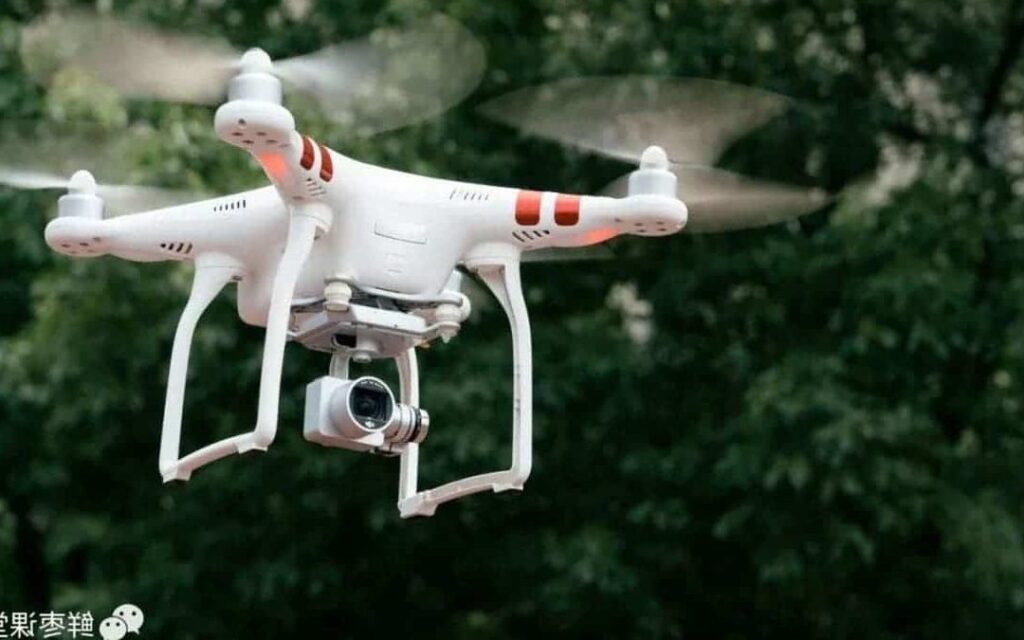 Qu’est-ce qui rend le grain de beauté de Toul si spécial ?