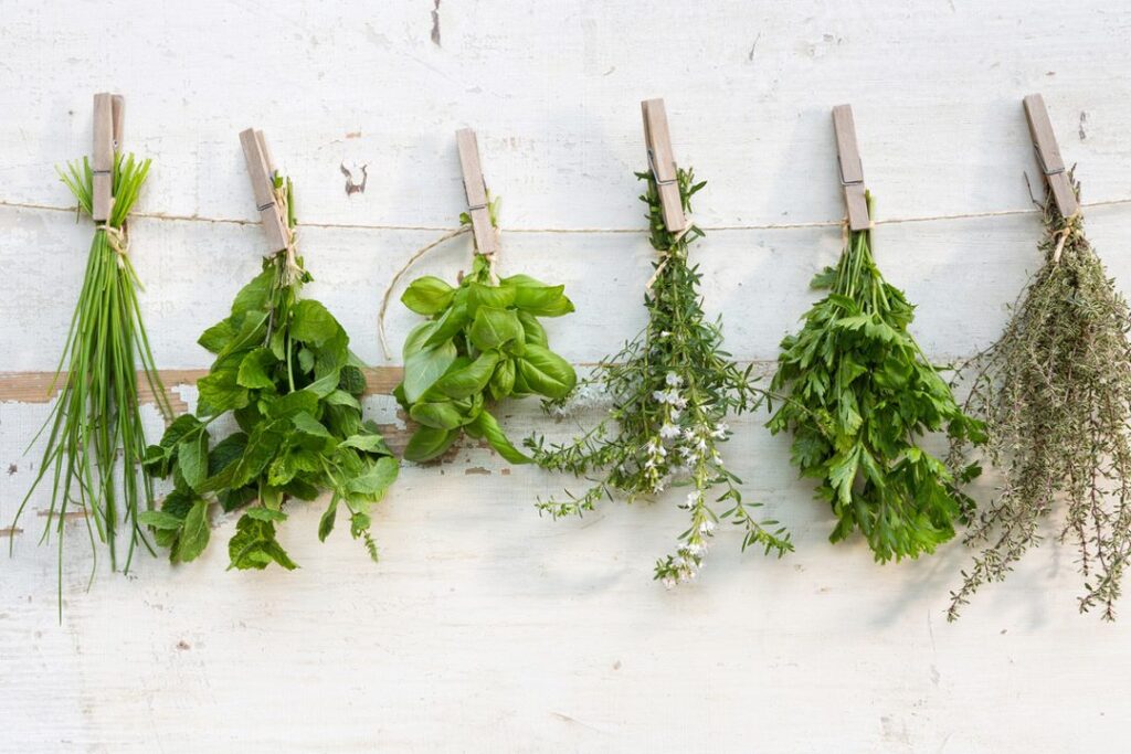 5 Recettes Maison Anti-Ballonnement pour un Ventre Apaisé