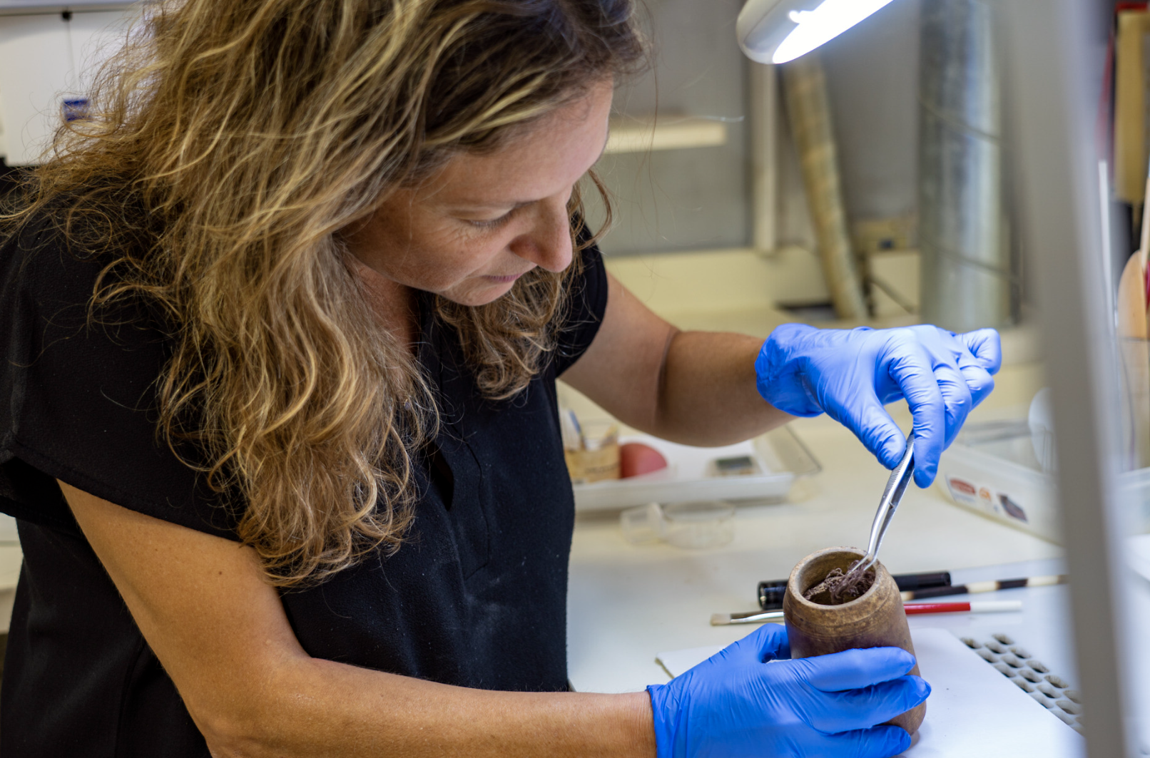 À la découverte du Laboratoire de Montivilliers : Innovation et Santé au Cœur de la Normandie