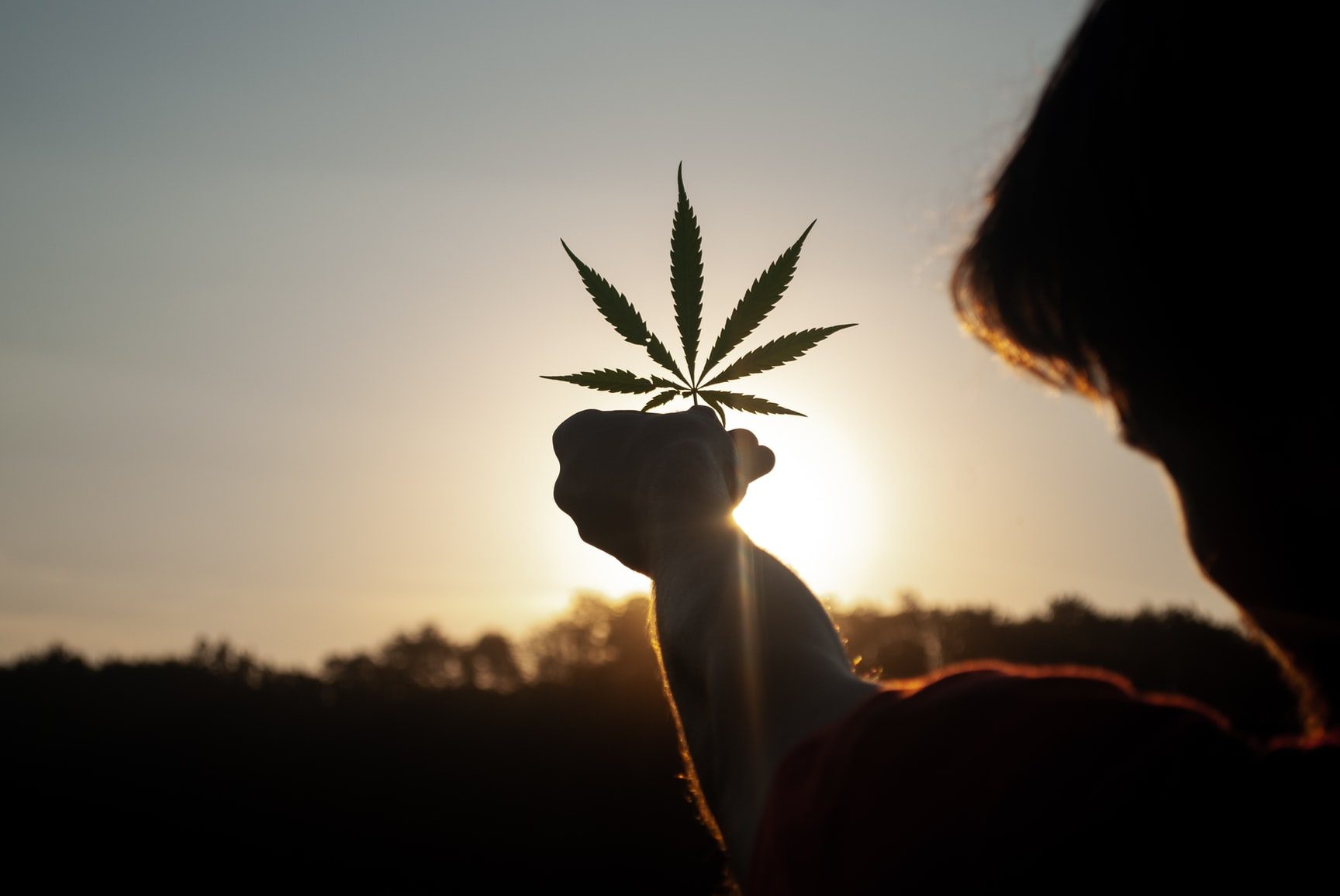 Le CBD peut-il vraiment provoquer l’insomnie ?