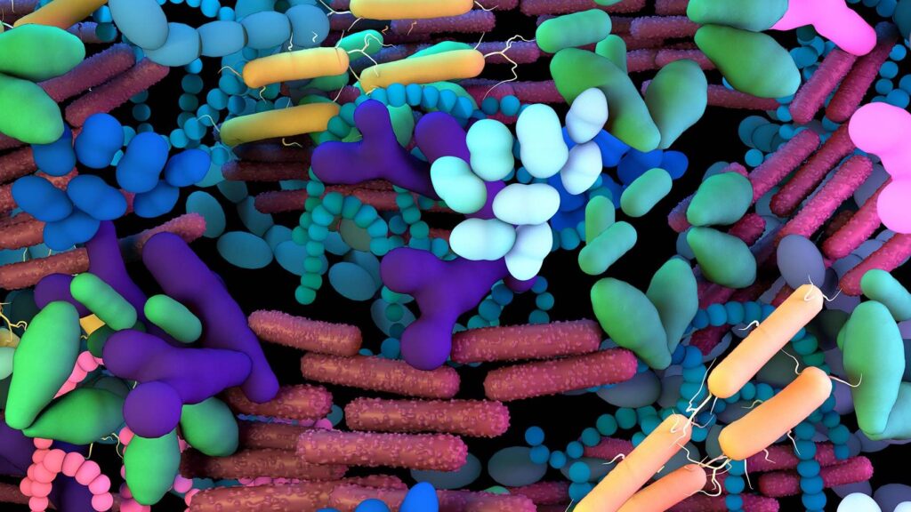 Pourquoi le microbiote joue-t-il un rôle crucial pour notre santé ?