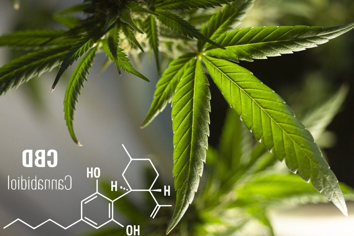 Quels sont les bienfaits du CBD à Saint-Gilles-Croix-de-Vie ?