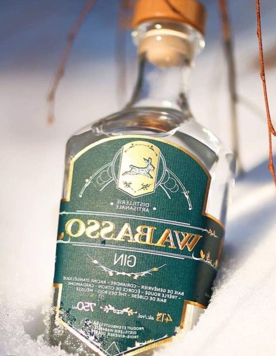 À la découverte des meilleurs gynécologues de Montluçon : Guide et conseils pour votre santé féminine