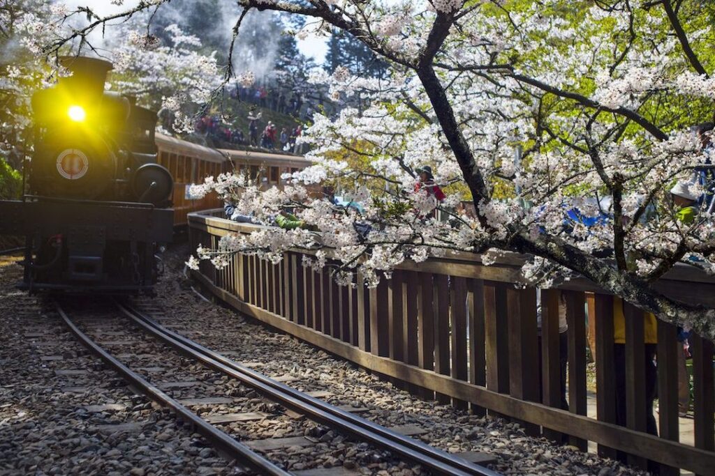 À la Découverte du Centre de Radiologie d&rsquo;Aressy : Innovations et Services pour votre Santé