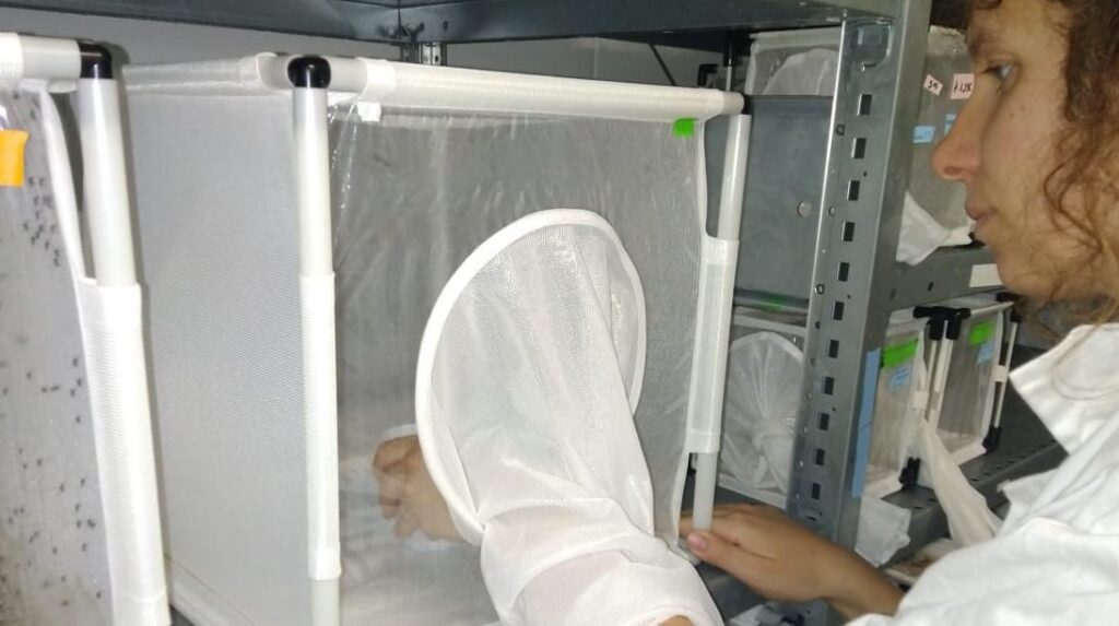 À la recherche de l&rsquo;institut de beauté idéal à Noisy-le-Grand ?