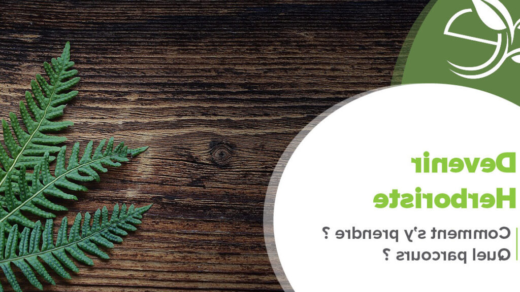 Est-il possible de devenir conseiller d’orientation sans avoir une licence en psychologie ?