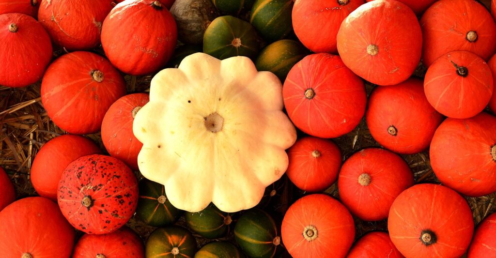Les calories du potiron : entre mythes et réalités nutritionnelles