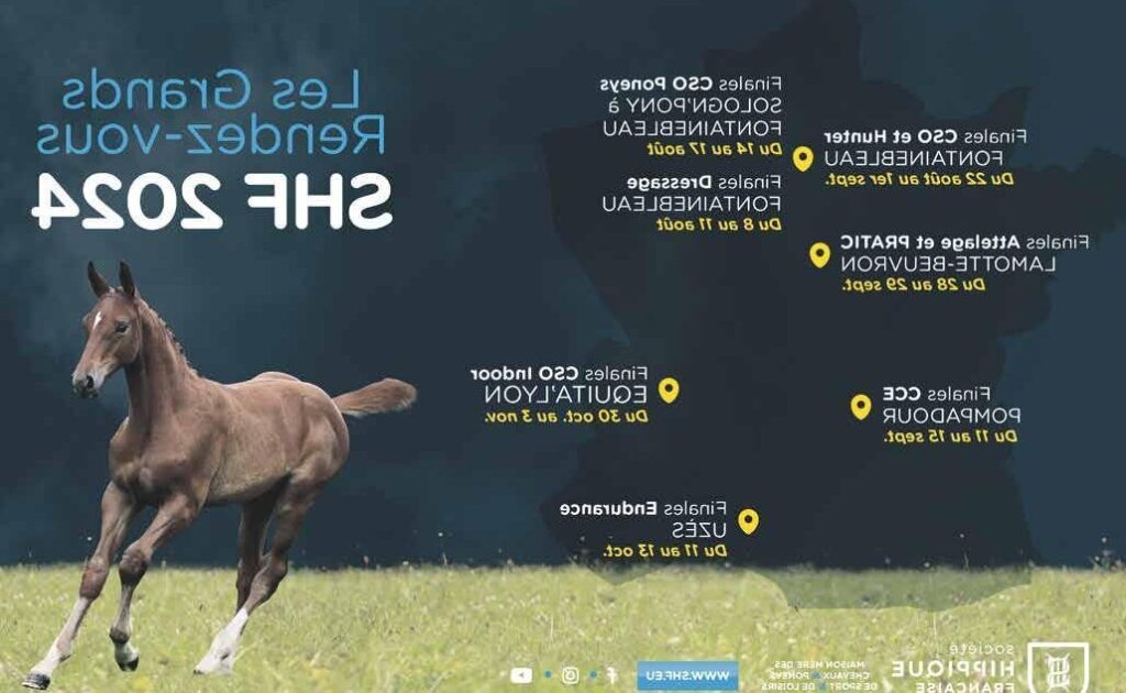 Olivier Roques: Pionnier de la Nutrition Holistique et Son Impact sur le Bien-être Contemporain