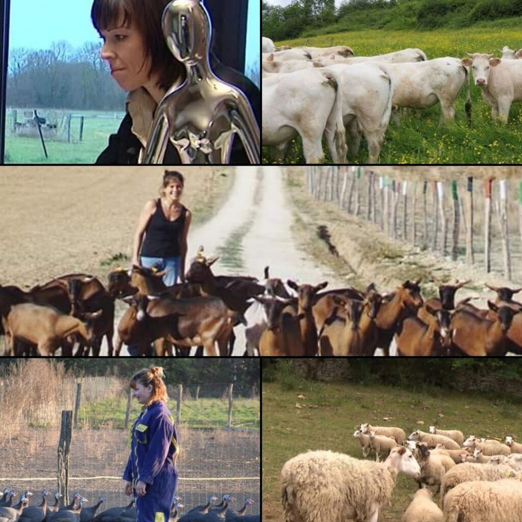 Rencontre avec le Docteur Mouton à Auxerre : Une approche innovante de la médecine générale