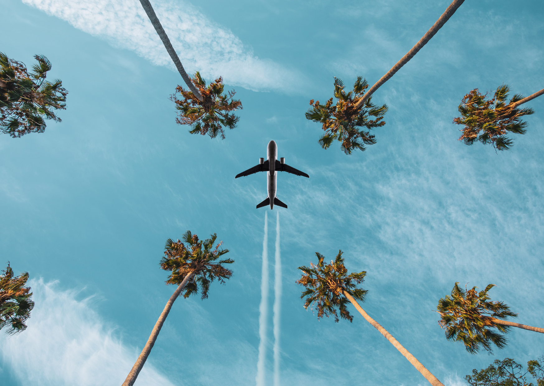 avion et écologie