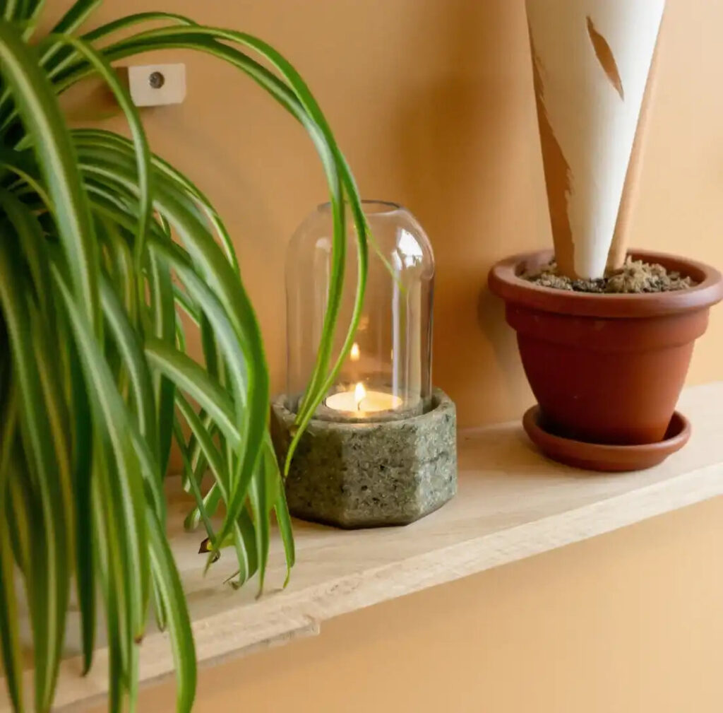 Terrasse aménagée avec guirlande lumineuse, plantes en pot et coussins d'extérieur colorés